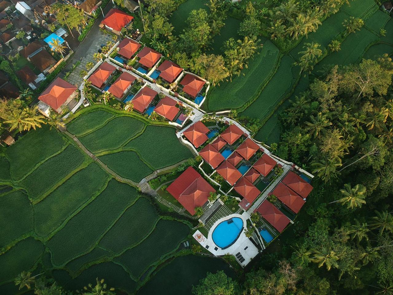 Vrindavan Ubud Villa Tegallalang  Dış mekan fotoğraf